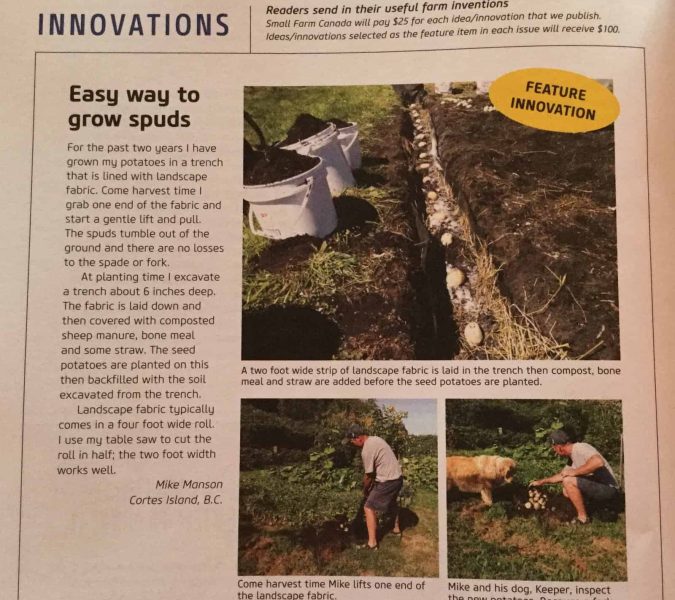Easy Way to Grow Spuds – by Mike Manson