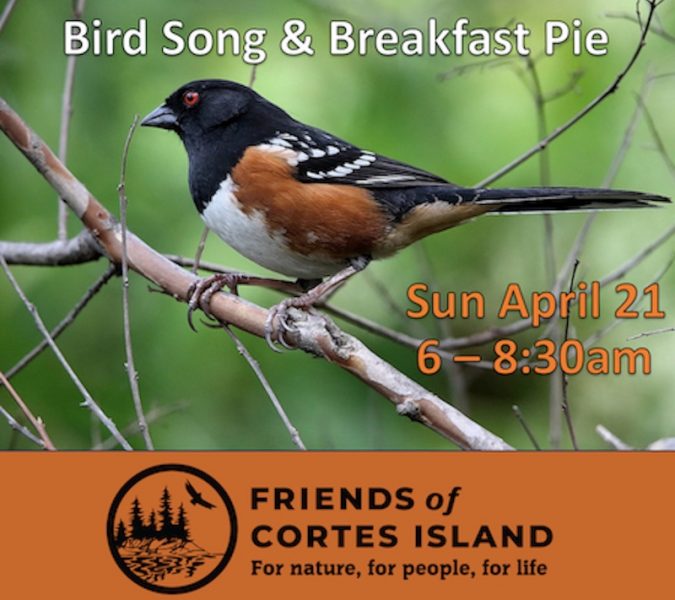Bird Song & Breakfast Pie – April 21