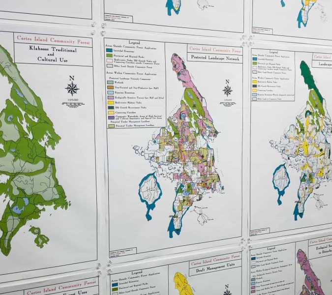 Wayfinding: History of Ecosystem Mapping